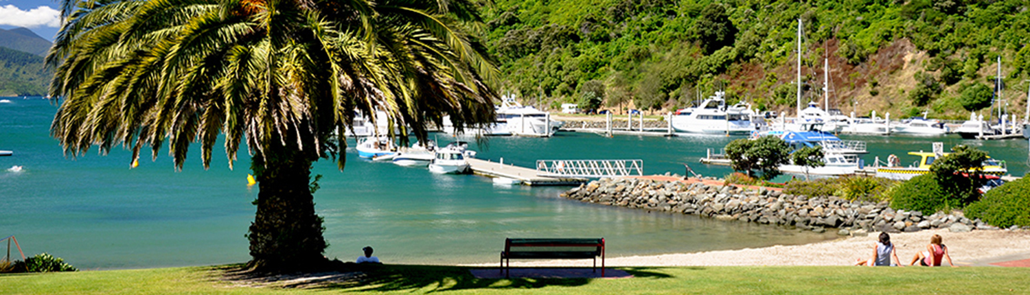 Stray Picton Header Image Sized for Website