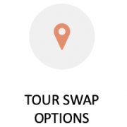 Stray promise tour swap