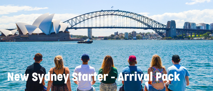 Sydney starter stray australia