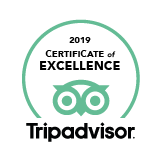 TripAdvisor icon