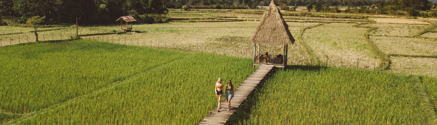 Vang Vieng Laos Rice Feilds Walk