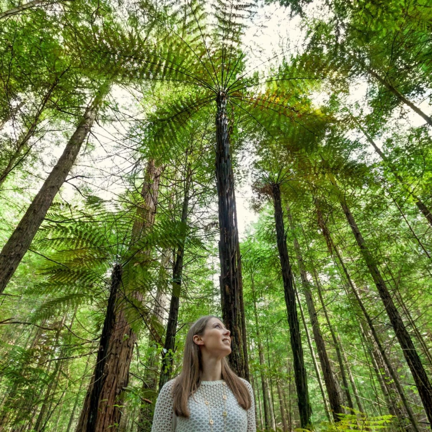 A girl in Rotorua Redwoods Forest