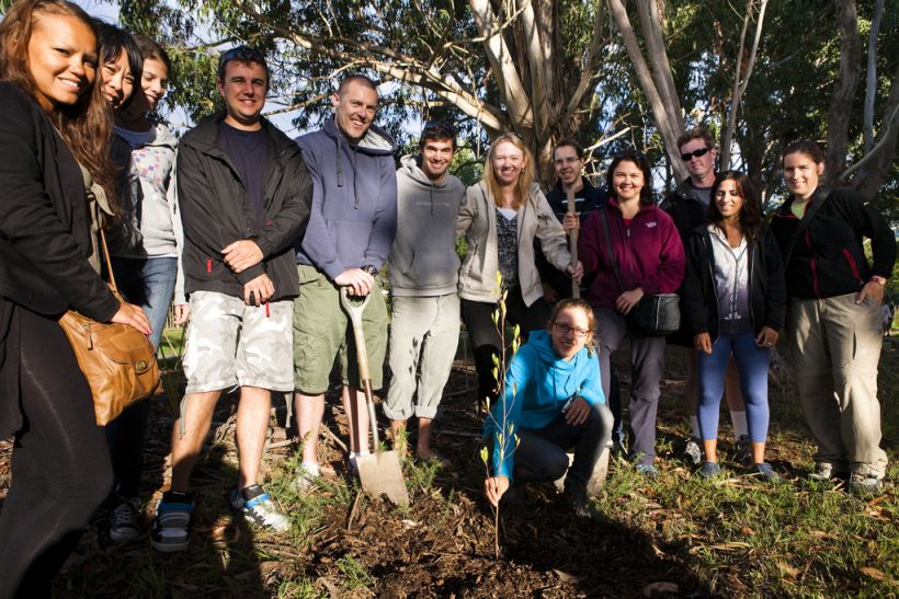 Planting a tree