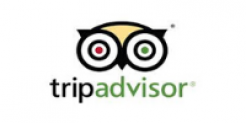 TripAdvisor logo