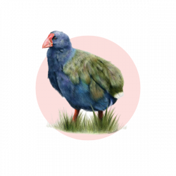 TAKAHE 22 23 Icon