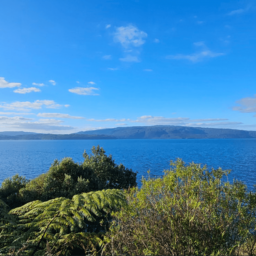 Rotorua // Two Lakes