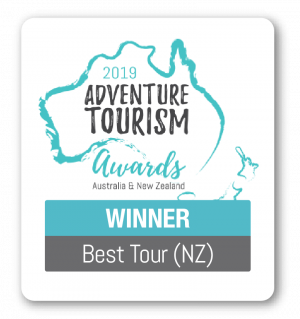Award Badges ATA Best Tour NZ