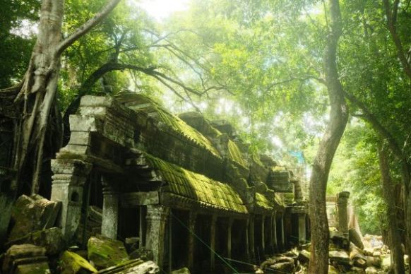 Ta Prohm