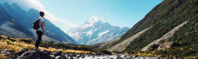 Stray Ruru Tour from Auckland