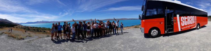 Stray Travel Bus Tours from Auckland