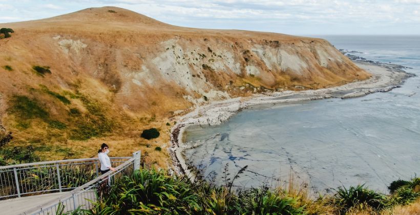 Kaikoura Peninsula walkway