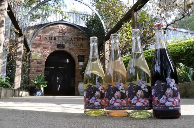 Tamburlaine Wine Tasting