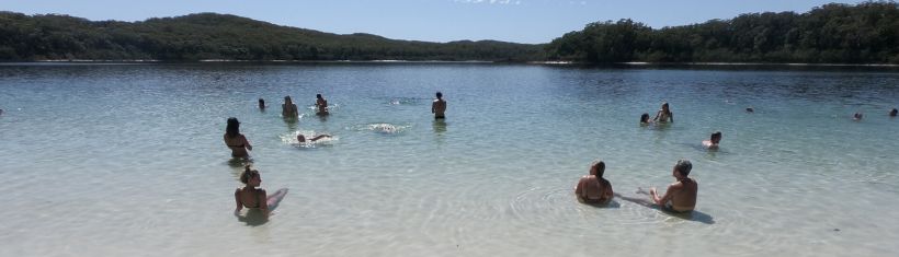 Stray Australia FraserIsland swim