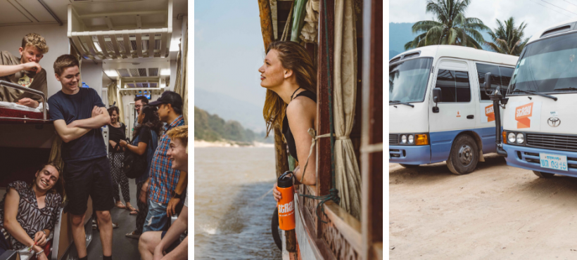 Stray asia transport