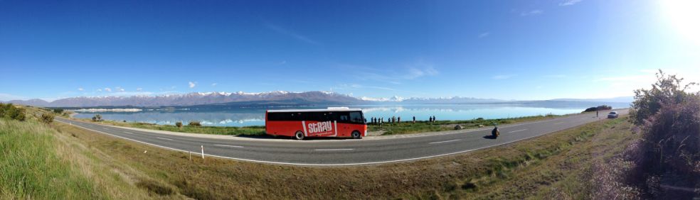 Stray bus tour at Lake Pukaki