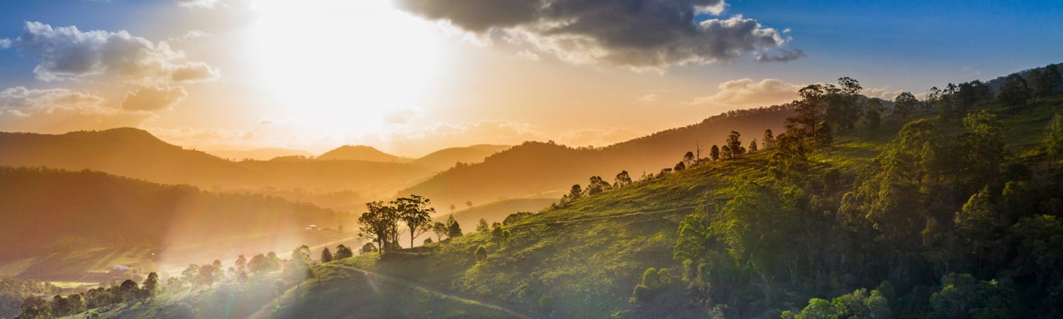 BarringtonTops