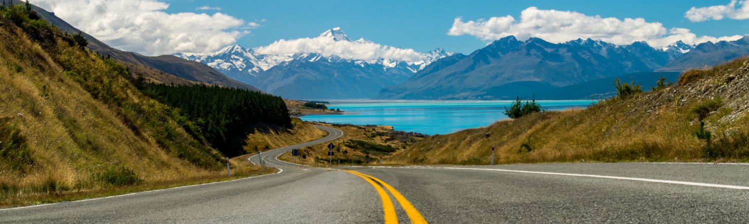 NZ WebHeaders 1500x4505