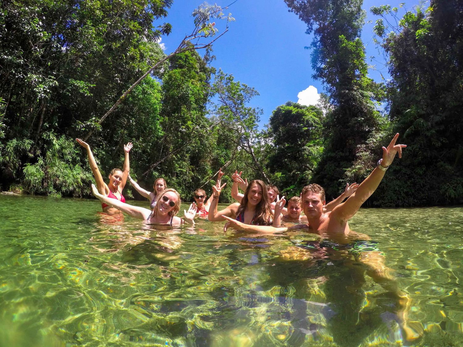 Stray Australia Tully Rainforest Experience