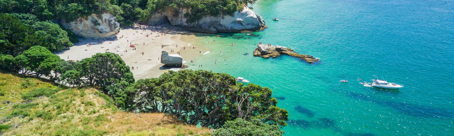 cathedral cove NZheader