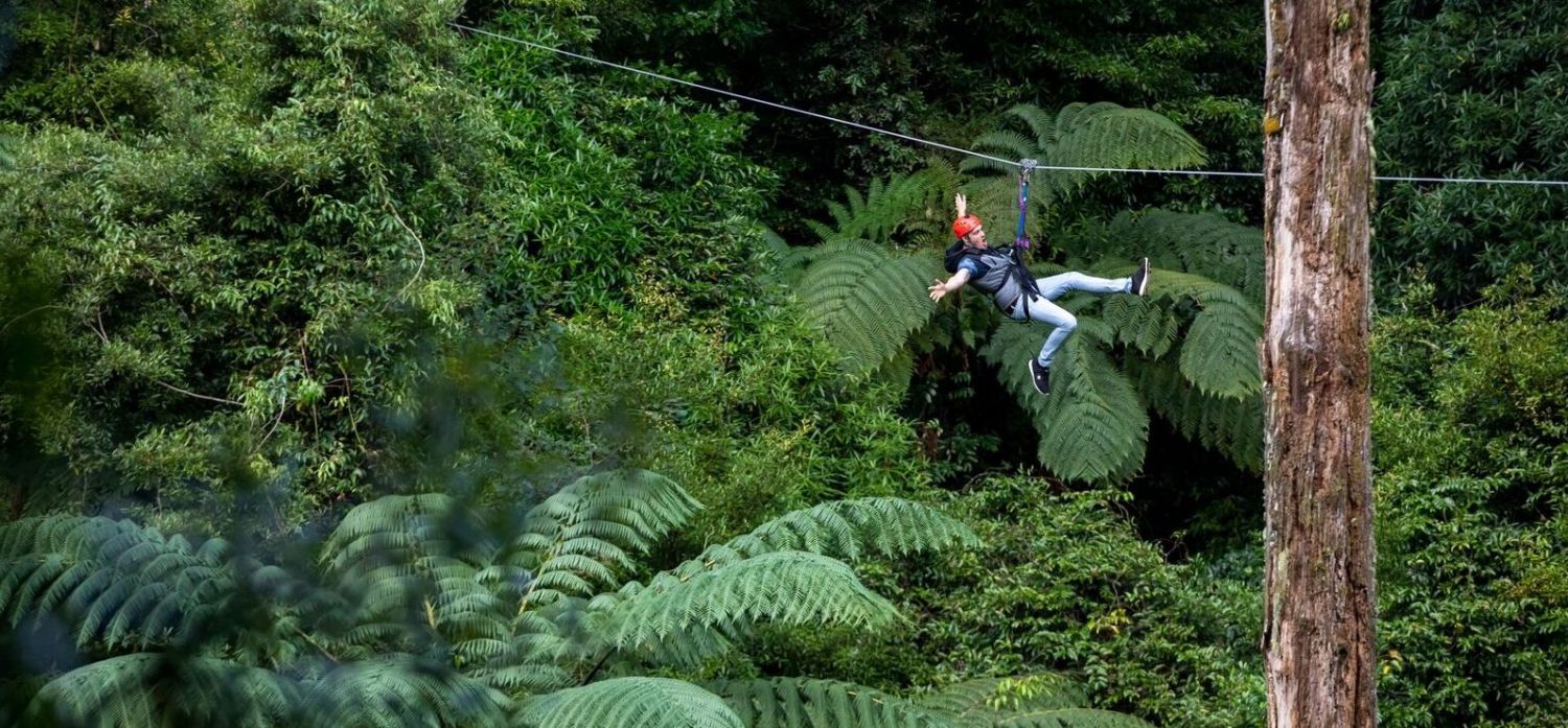 rotorua canopy tours header3