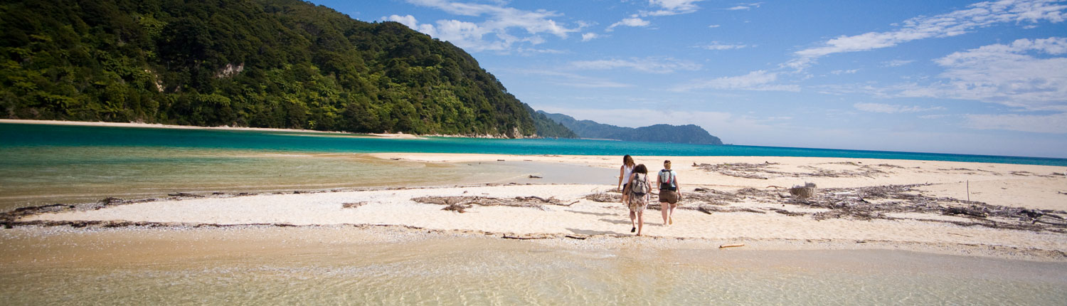 abel tasman walkers