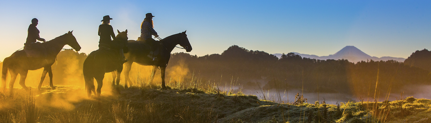 blue duck horseriding header