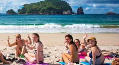 Stray tours from Auckland