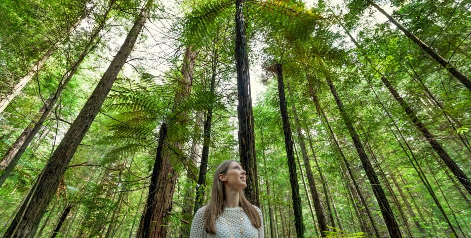 01 Rotorua Whakarewarewa Forest