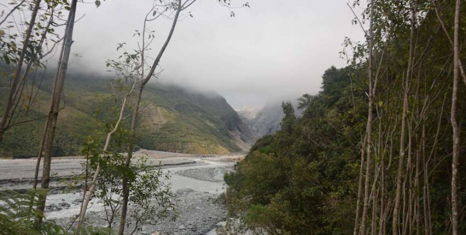 Franz josef glacier track sentinel