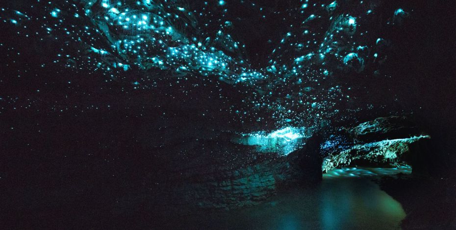 G Highlight NI Waitomo Caves