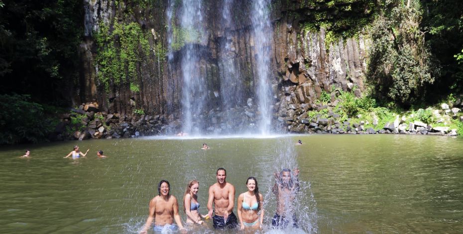 Group at Millaa Millaa Falls Highlight AU