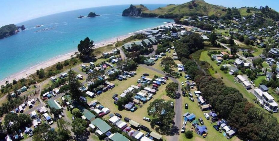 Hahei Beach View