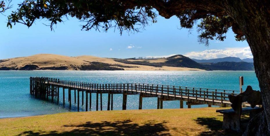 Hokianga AwesomeNZ Hokianga day trip