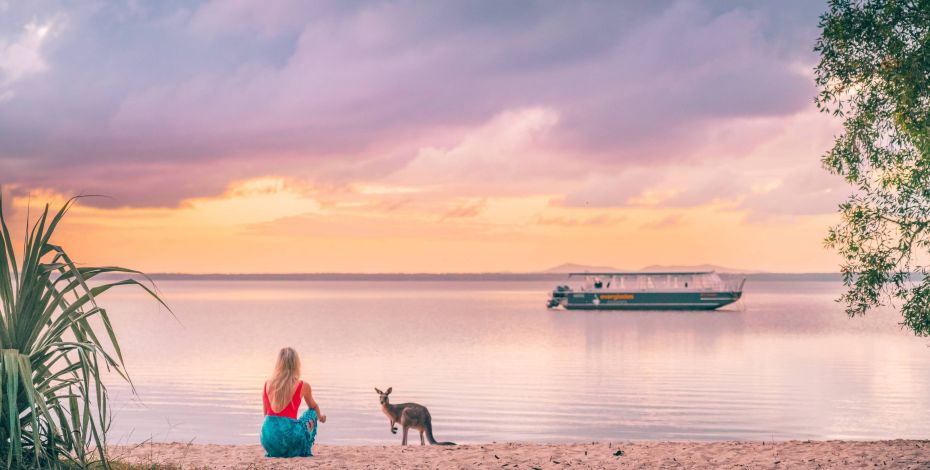 Lake Cootharaba and kangaroos Highlight AU