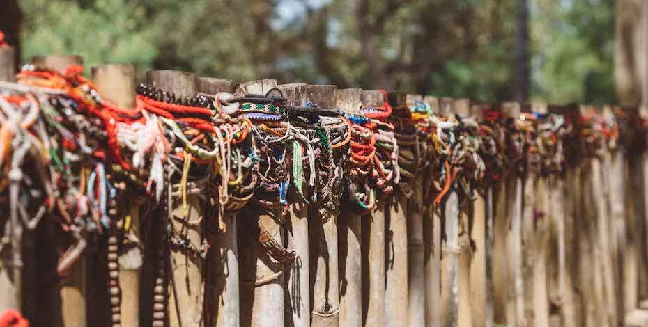 Phnom Penh Stray Asia Pass Highlight