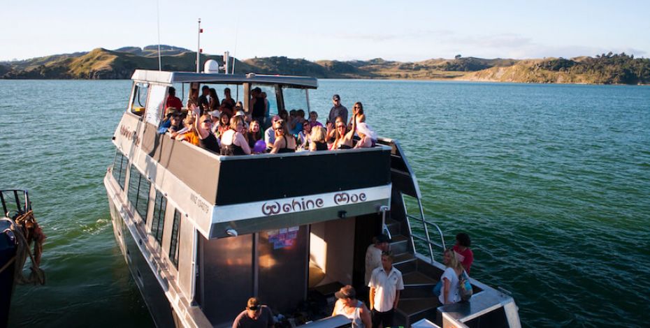 RAGLAN BOAT CRUISE Wahinemoe