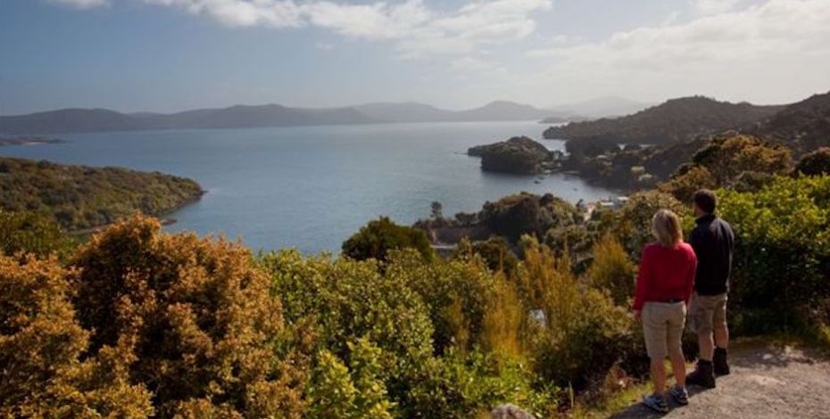 Stewart Island Viewpoint