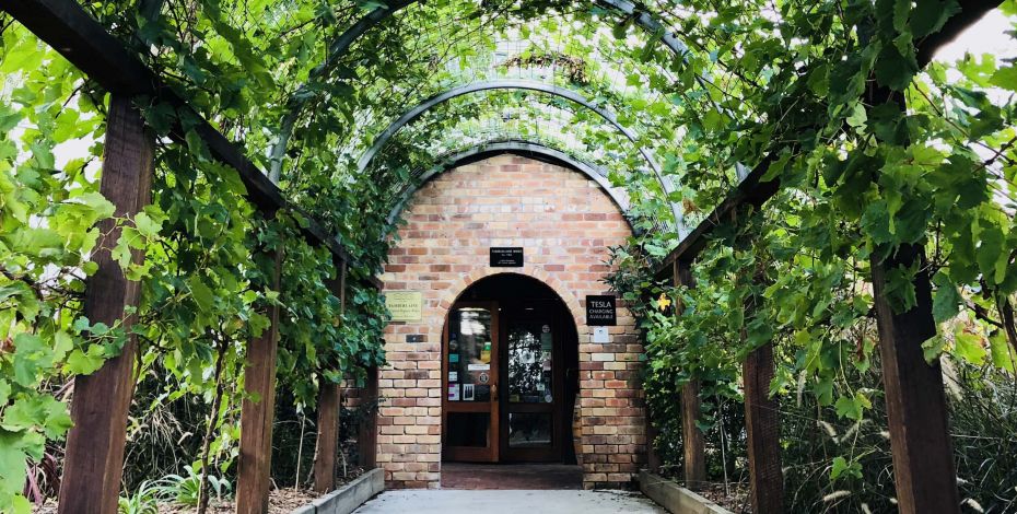 Tamburlaine Winery Cellar Door Highlight AU