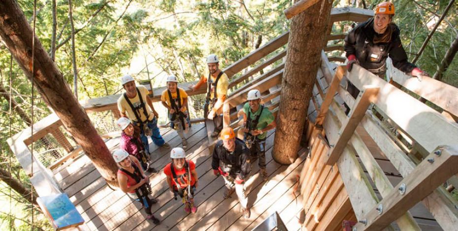 Ziptrek Ecotours canopy