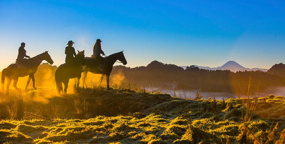 blue duck station horse riding sunset straynz gallery