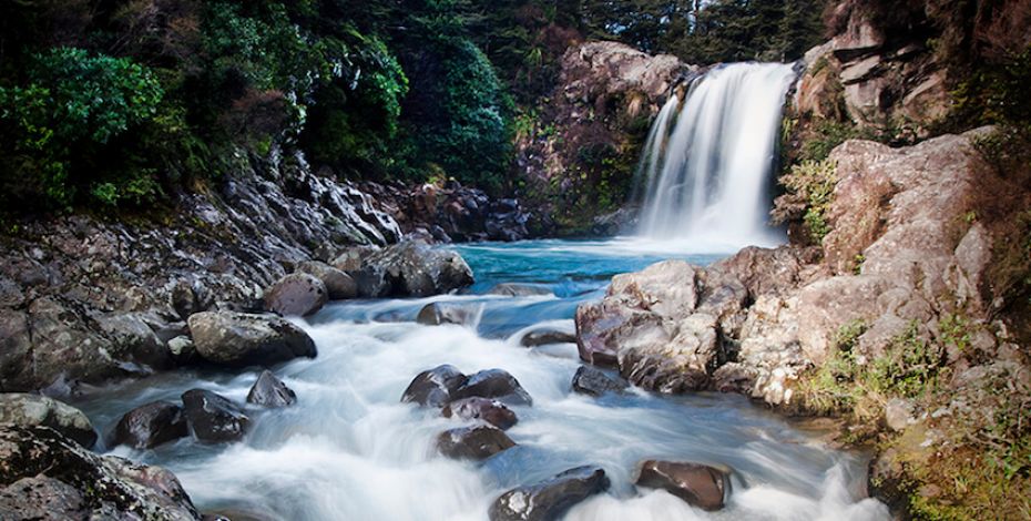 national park tawhai falls