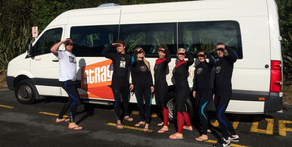 raglan surfing school group