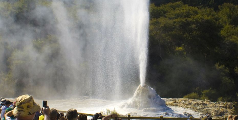 rotorua wai o tapu lady knox geyser