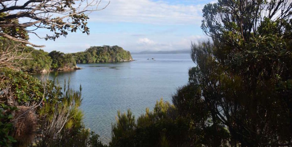 stewart ulva island ulva island sanctuary