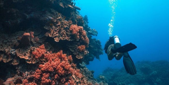 Cairns Great Barrier Highlight
