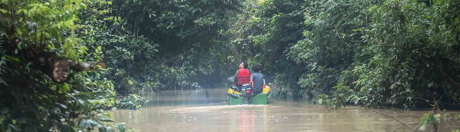 kinabatangan river cruise borneo