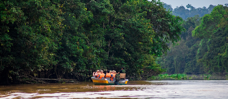 kinabatangan river wildlife cruise borneo