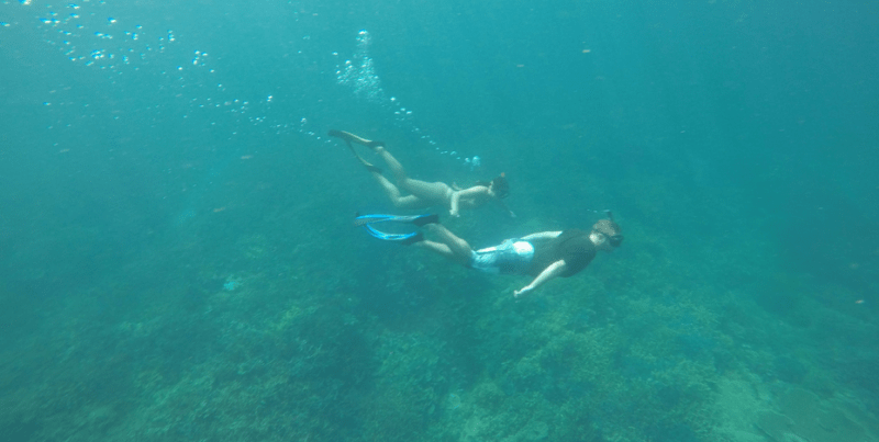 kudat snorkelling tour min