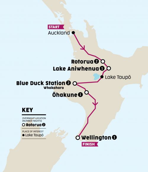 10330 STRAY Maps NZ9 PUKEKO