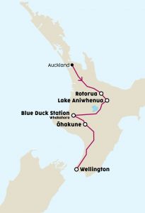 10330 STRAY Maps NZ THUMBS9 PUKEKO